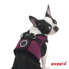 Puppia Vest Harness – The Salty Dog Seabrook - Main Image